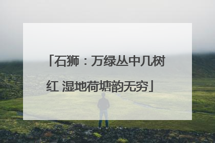 石狮：万绿丛中几树红 湿地荷塘韵无穷