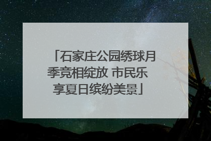 石家庄公园绣球月季竞相绽放 市民乐享夏日缤纷美景