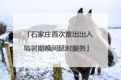 石家庄首次推出出入境暑期晚间延时服务