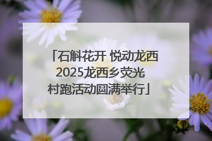 石斛花开 悦动龙西 2025龙西乡荧光村跑活动圆满举行