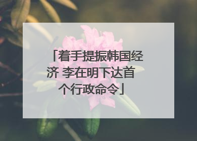 着手提振韩国经济 李在明下达首个行政命令
