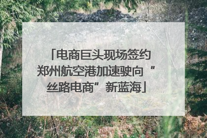 电商巨头现场签约 郑州航空港加速驶向“丝路电商”新蓝海
