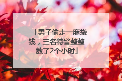 男子偷走一麻袋钱，三名特警整整数了2个小时