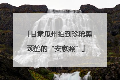 甘肃瓜州拍到珍稀黑颈鹤的“安家照”
