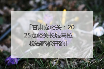 甘肃嘉峪关：2025嘉峪关长城马拉松赛鸣枪开跑
