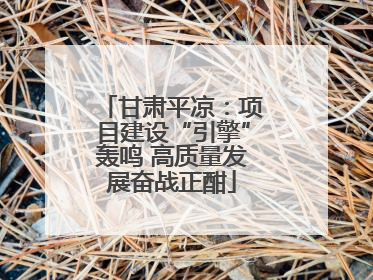 甘肃平凉：项目建设“引擎”轰鸣 高质量发展奋战正酣