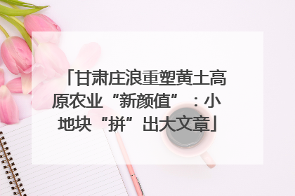 甘肃庄浪重塑黄土高原农业“新颜值”：小地块“拼”出大文章