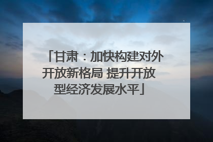 甘肃：加快构建对外开放新格局 提升开放型经济发展水平