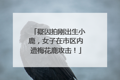 疑因拍刚出生小鹿，女子在市区内遭梅花鹿攻击！