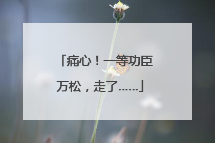 痛心！一等功臣万松，走了……