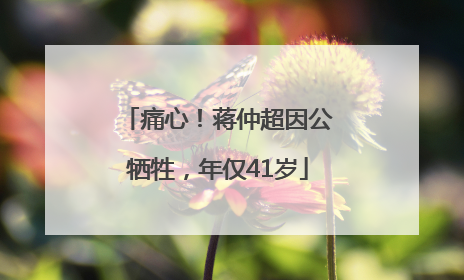 痛心！蒋仲超因公牺牲，年仅41岁
