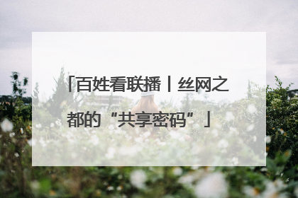 百姓看联播丨丝网之都的“共享密码”