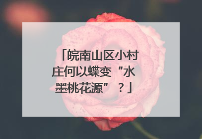 皖南山区小村庄何以蝶变“水墨桃花源”？