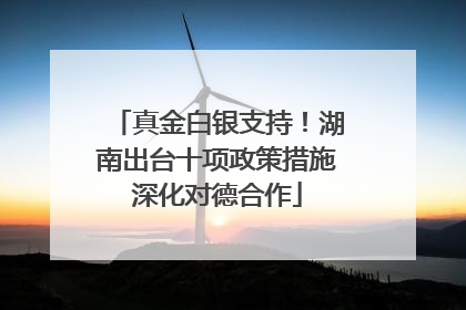 真金白银支持！湖南出台十项政策措施深化对德合作