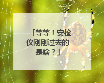 等等！安检仪刚刚过去的是啥？