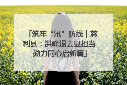 筑牢“汛”防线｜慈利县：洪峰退去显担当 勠力同心启新篇