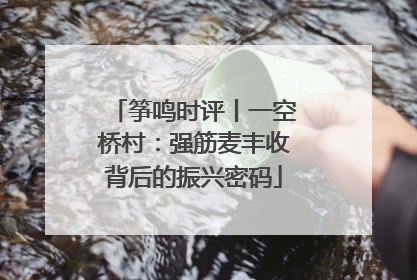 筝鸣时评丨一空桥村：强筋麦丰收背后的振兴密码