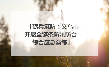 砺兵筑防：义乌市开展全链条防汛防台综合应急演练