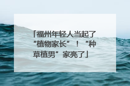 福州年轻人当起了“植物家长”！“种草植男”家亮了