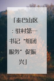秦巴山区：驻村第一书记“组团服务”促振兴