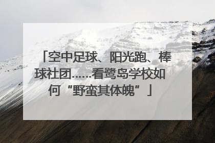 空中足球、阳光跑、棒球社团……看鹭岛学校如何“野蛮其体魄”