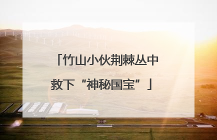 竹山小伙荆棘丛中救下“神秘国宝”