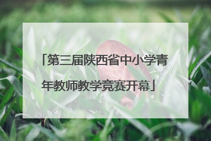 第三届陕西省中小学青年教师教学竞赛开幕