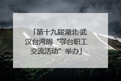 第十九届湖北·武汉台湾周“鄂台职工交流活动”举办