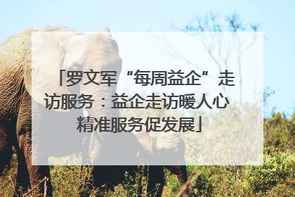 罗文军“每周益企”走访服务：益企走访暖人心 精准服务促发展