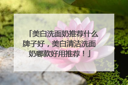 美白洗面奶推荐什么牌子好，美白清洁洗面奶哪款好用推荐！