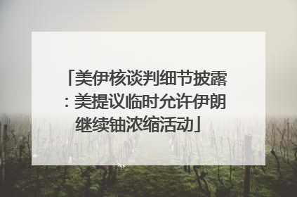 美伊核谈判细节披露：美提议临时允许伊朗继续铀浓缩活动