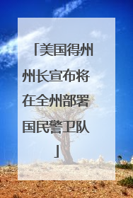 美国得州州长宣布将在全州部署国民警卫队