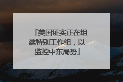 美国证实正在组建特别工作组，以监控中东局势