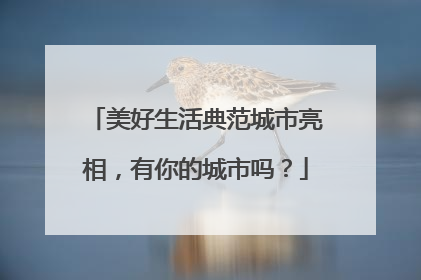 美好生活典范城市亮相，有你的城市吗？