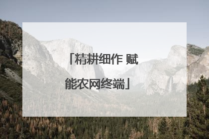 精耕细作 赋能农网终端