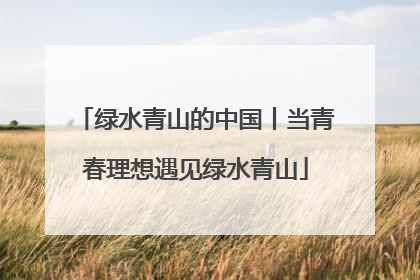 绿水青山的中国丨当青春理想遇见绿水青山