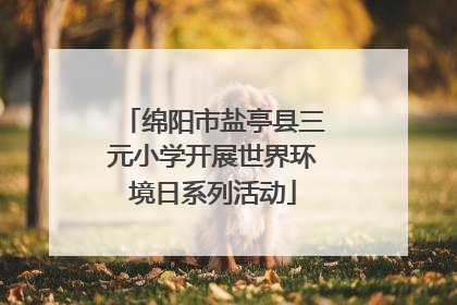绵阳市盐亭县三元小学开展世界环境日系列活动