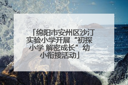 绵阳市安州区沙汀实验小学开展“初探小学 解密成长”幼小衔接活动