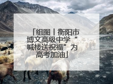 组图丨衡阳市博文高级中学“喊楼送祝福”为高考加油
