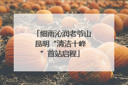 细雨沁润老爷山 昆明“清洁十峰”首站启程