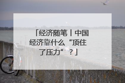 经济随笔丨中国经济靠什么“顶住了压力”？