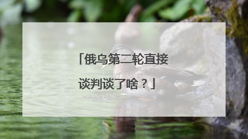 俄乌第二轮直接谈判谈了啥？