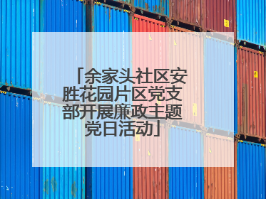 余家头社区安胜花园片区党支部开展廉政主题党日活动