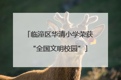 临潼区华清小学荣获“全国文明校园”