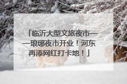 临沂大型文旅夜市——琅琊夜市开业！河东再添网红打卡地！
