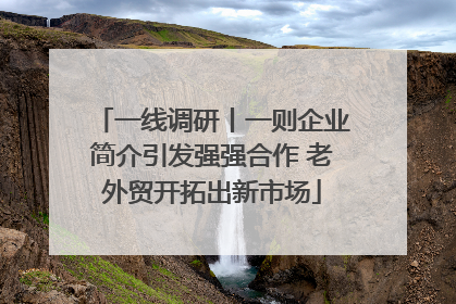 一线调研丨一则企业简介引发强强合作 老外贸开拓出新市场