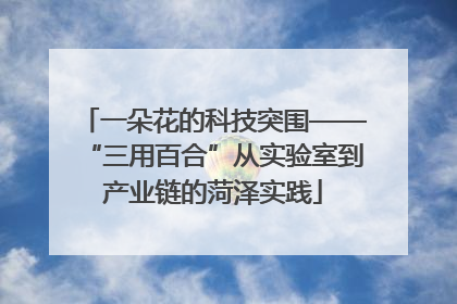一朵花的科技突围——“三用百合”从实验室到产业链的菏泽实践