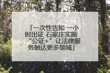 一次性告知 一小时出证 石家庄实施“公证+”让法律服务触达更多领域