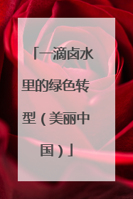 一滴卤水里的绿色转型（美丽中国）