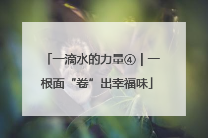 一滴水的力量④｜一根面“卷”出幸福味